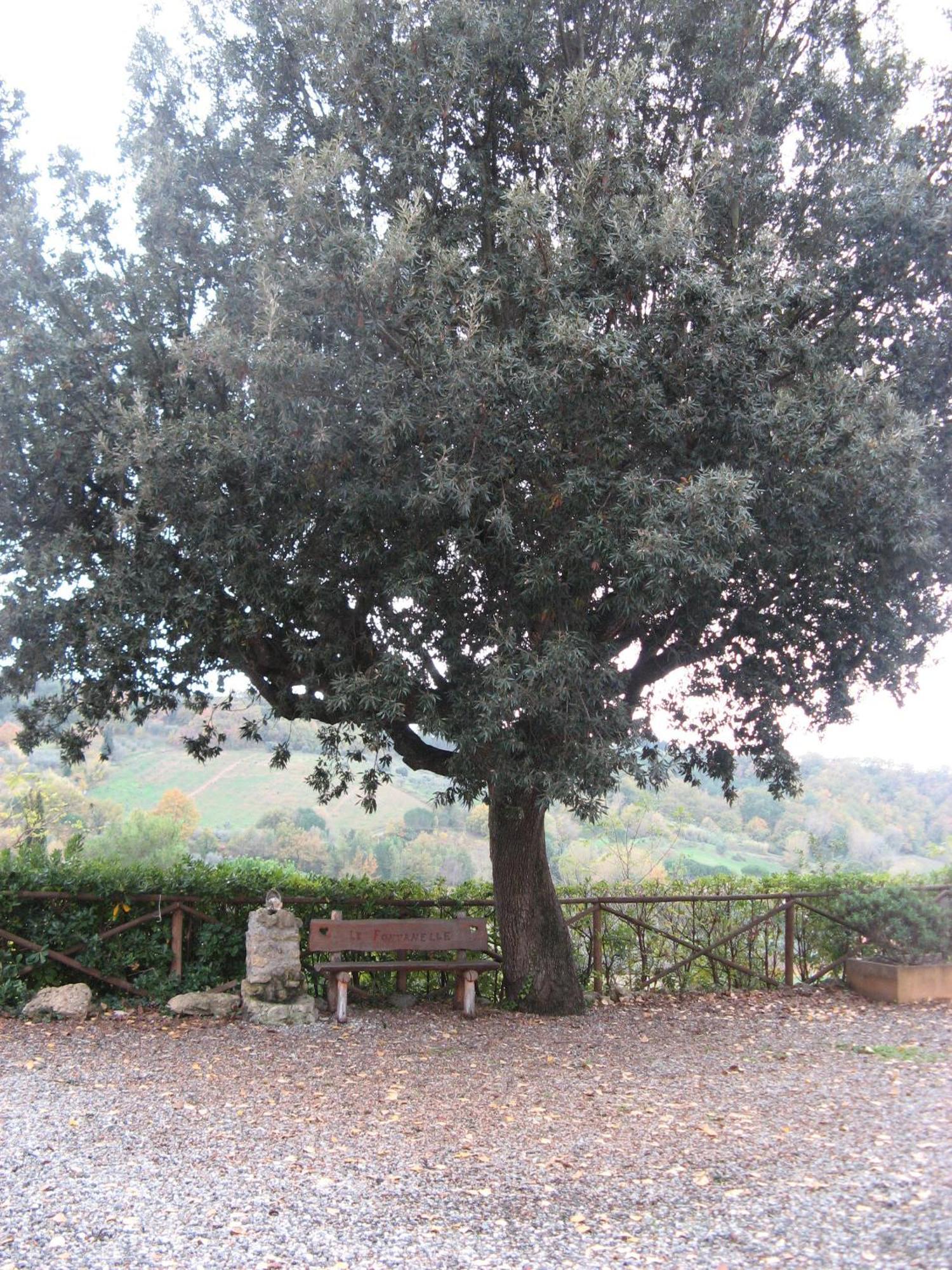 Aparthotel Garden Relais Le Fontanelle à Montescudaio Extérieur photo